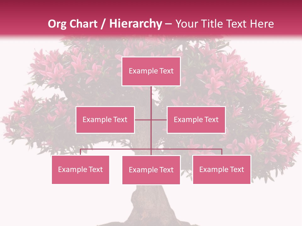 Portrait Elderly Calm PowerPoint Template