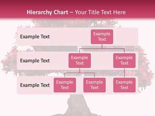 Portrait Elderly Calm PowerPoint Template