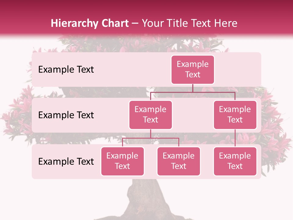 Portrait Elderly Calm PowerPoint Template