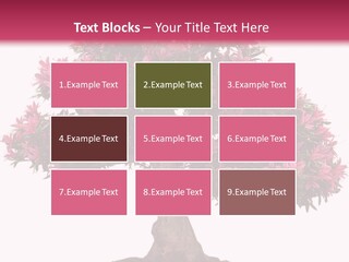 Portrait Elderly Calm PowerPoint Template