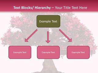 Portrait Elderly Calm PowerPoint Template