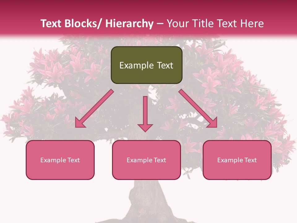 Portrait Elderly Calm PowerPoint Template