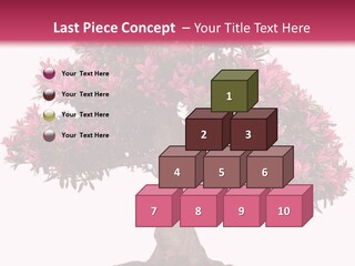 Portrait Elderly Calm PowerPoint Template