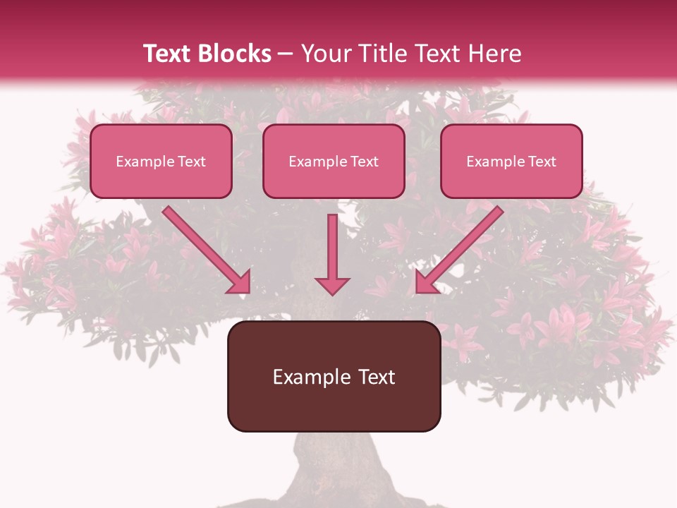 Portrait Elderly Calm PowerPoint Template