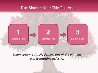 Portrait Elderly Calm PowerPoint Template