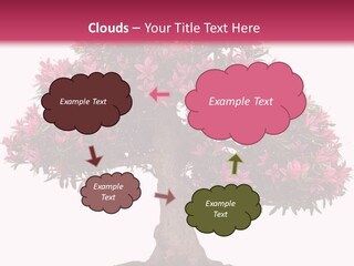 Portrait Elderly Calm PowerPoint Template
