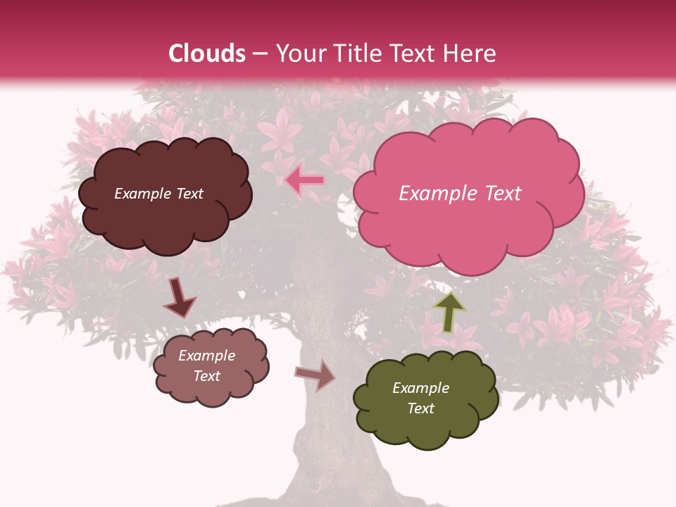 Portrait Elderly Calm PowerPoint Template