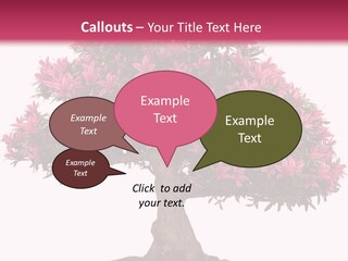 Portrait Elderly Calm PowerPoint Template