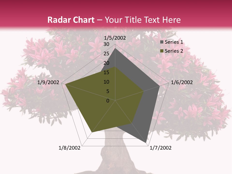 Portrait Elderly Calm PowerPoint Template