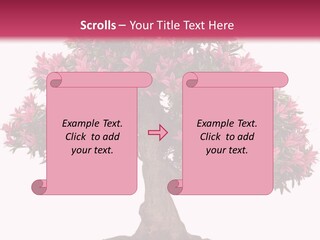 Portrait Elderly Calm PowerPoint Template