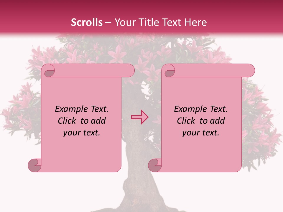 Portrait Elderly Calm PowerPoint Template