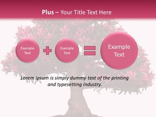 Portrait Elderly Calm PowerPoint Template