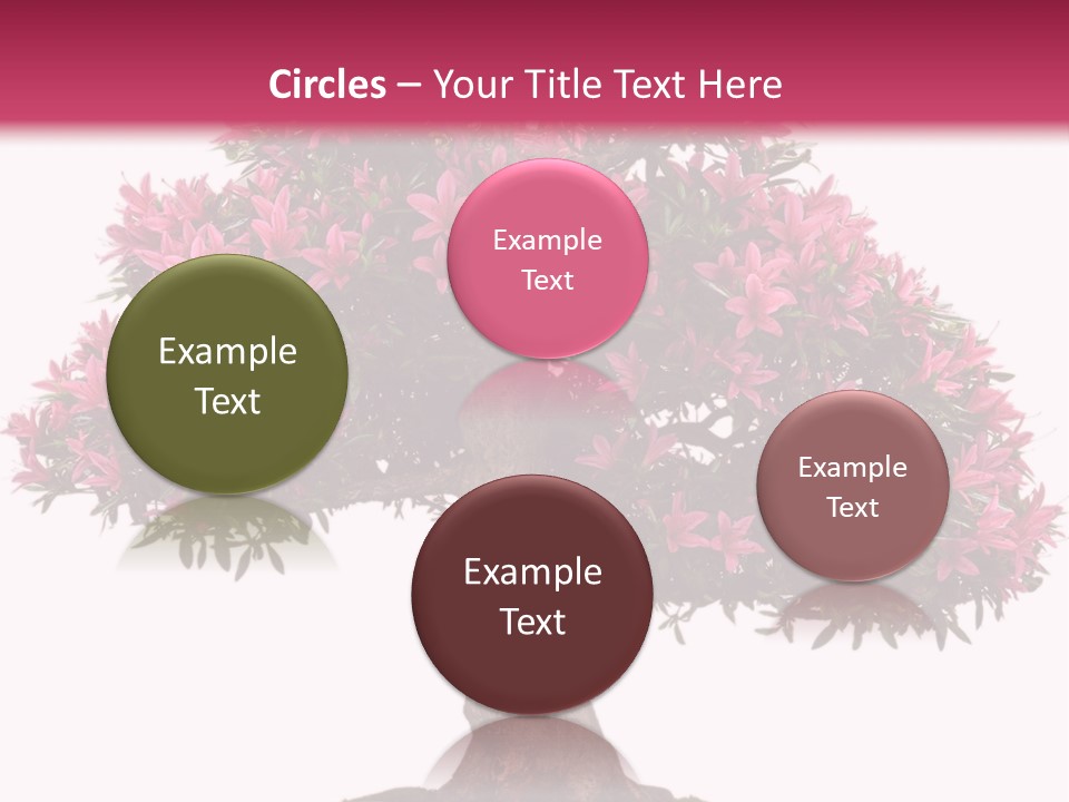 Portrait Elderly Calm PowerPoint Template