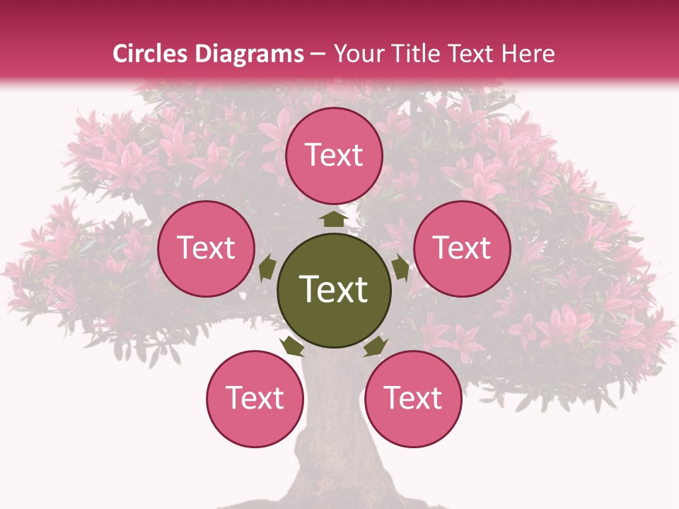 Portrait Elderly Calm PowerPoint Template