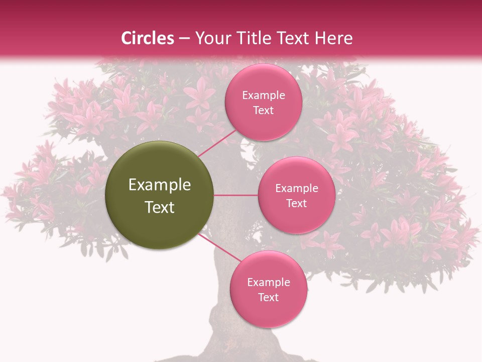 Portrait Elderly Calm PowerPoint Template