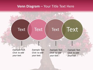 Portrait Elderly Calm PowerPoint Template