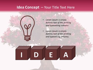 Portrait Elderly Calm PowerPoint Template