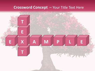 Portrait Elderly Calm PowerPoint Template