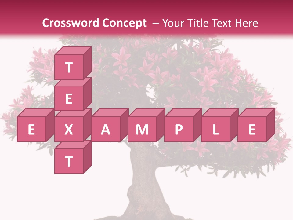 Portrait Elderly Calm PowerPoint Template