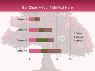 Portrait Elderly Calm PowerPoint Template