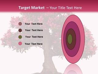 Portrait Elderly Calm PowerPoint Template