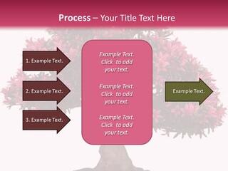 Portrait Elderly Calm PowerPoint Template