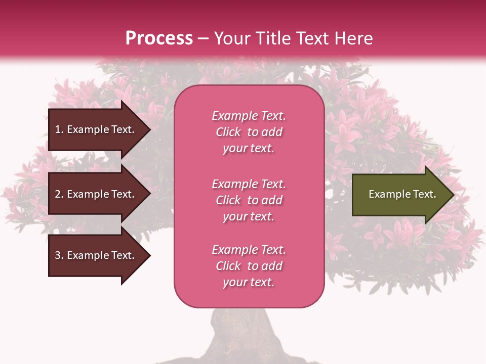 Portrait Elderly Calm PowerPoint Template