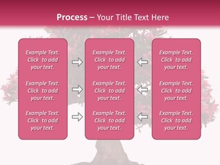 Portrait Elderly Calm PowerPoint Template