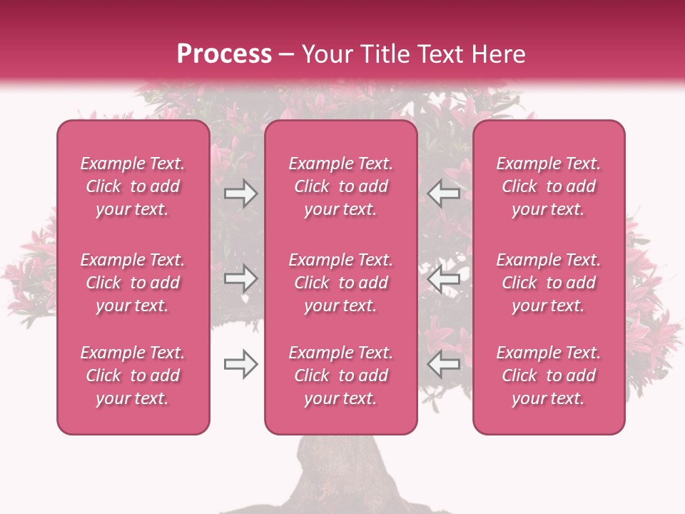 Portrait Elderly Calm PowerPoint Template