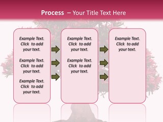 Portrait Elderly Calm PowerPoint Template
