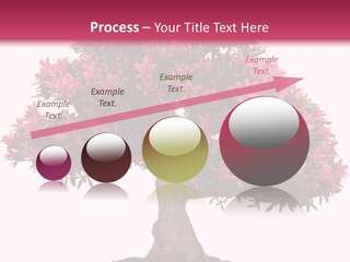 Portrait Elderly Calm PowerPoint Template