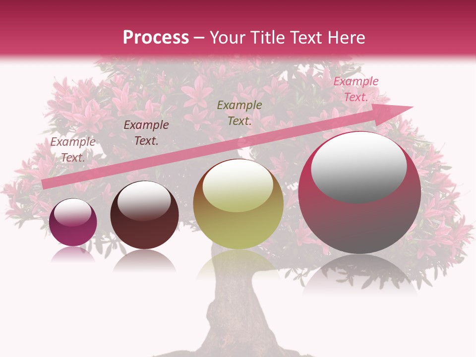 Portrait Elderly Calm PowerPoint Template