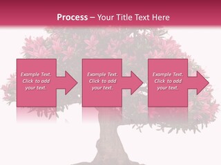 Portrait Elderly Calm PowerPoint Template