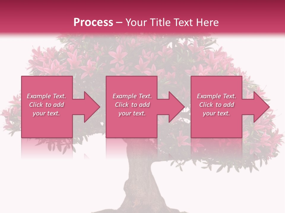 Portrait Elderly Calm PowerPoint Template