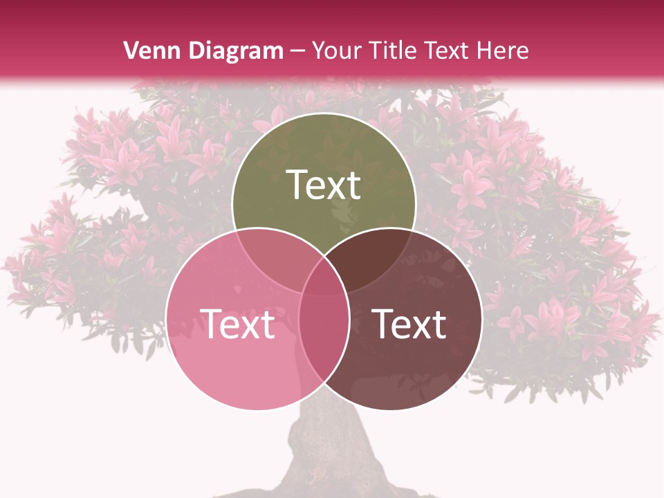 Portrait Elderly Calm PowerPoint Template