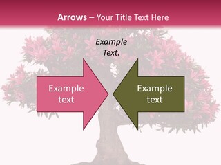 Portrait Elderly Calm PowerPoint Template