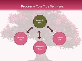 Portrait Elderly Calm PowerPoint Template