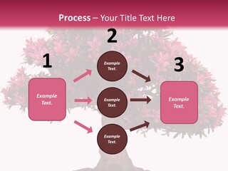 Portrait Elderly Calm PowerPoint Template
