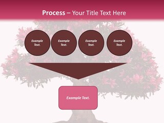 Portrait Elderly Calm PowerPoint Template