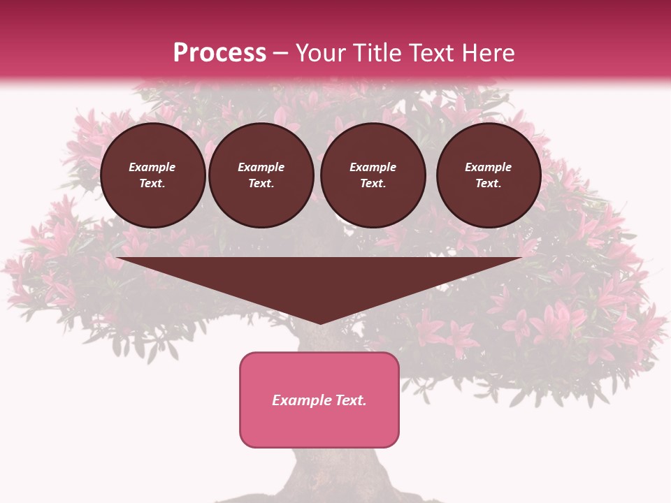 Portrait Elderly Calm PowerPoint Template