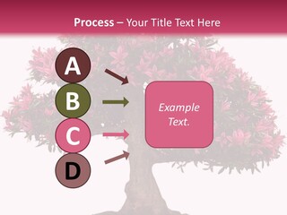 Portrait Elderly Calm PowerPoint Template