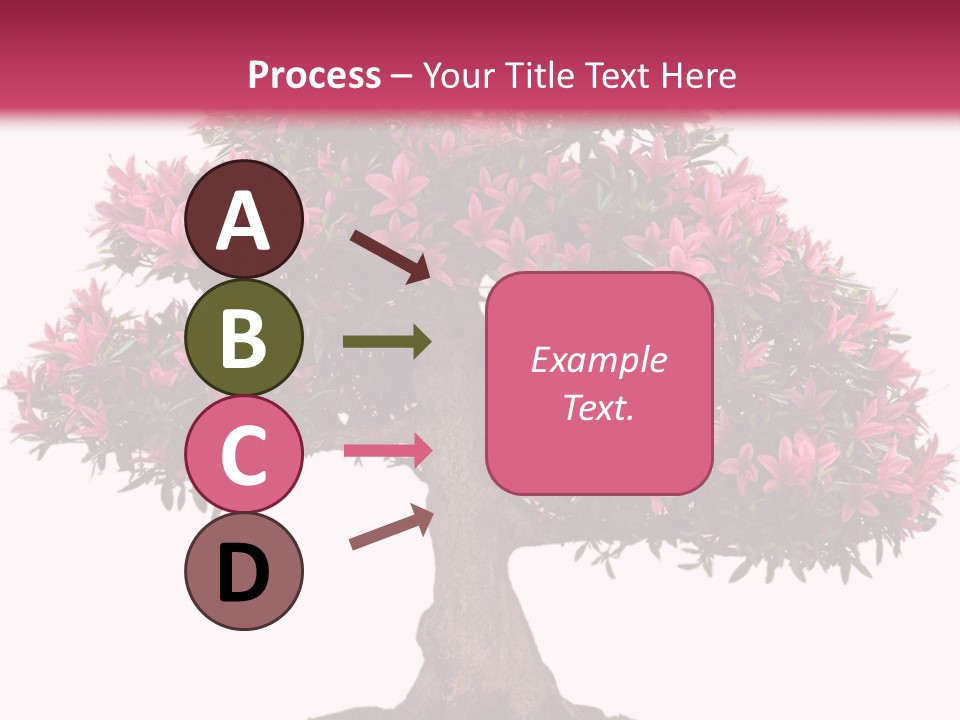 Portrait Elderly Calm PowerPoint Template
