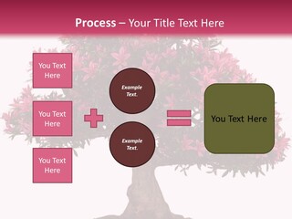 Portrait Elderly Calm PowerPoint Template
