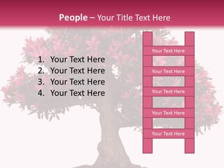 Portrait Elderly Calm PowerPoint Template