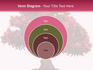 Portrait Elderly Calm PowerPoint Template