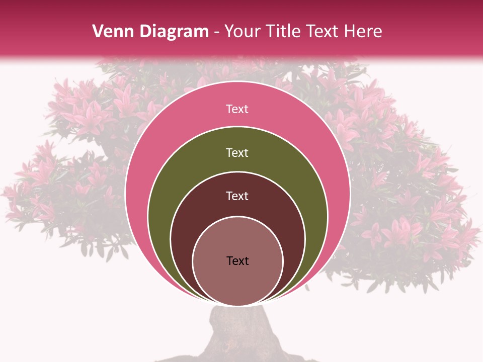 Portrait Elderly Calm PowerPoint Template