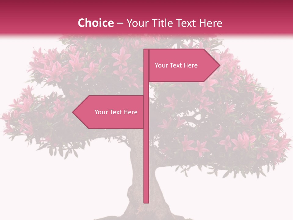 Portrait Elderly Calm PowerPoint Template