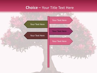 Portrait Elderly Calm PowerPoint Template