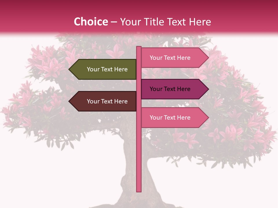 Portrait Elderly Calm PowerPoint Template