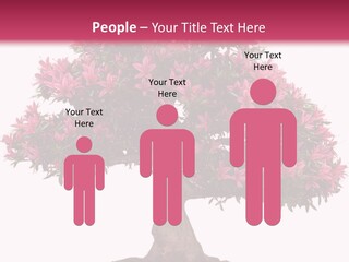 Portrait Elderly Calm PowerPoint Template